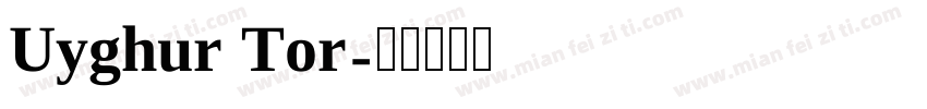 Uyghur Tor字体转换